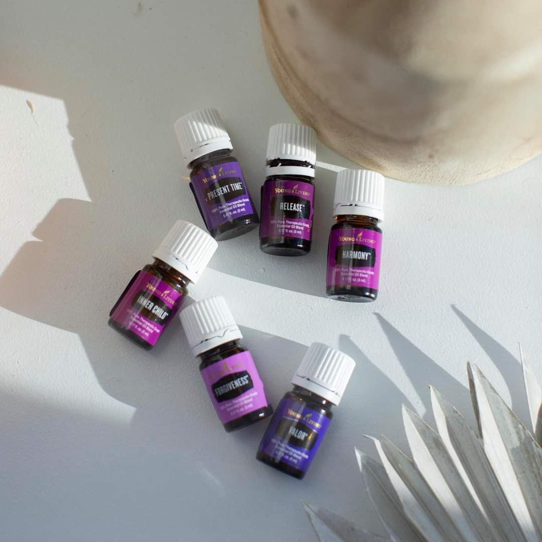 photo_2023-05-05 13.14.55